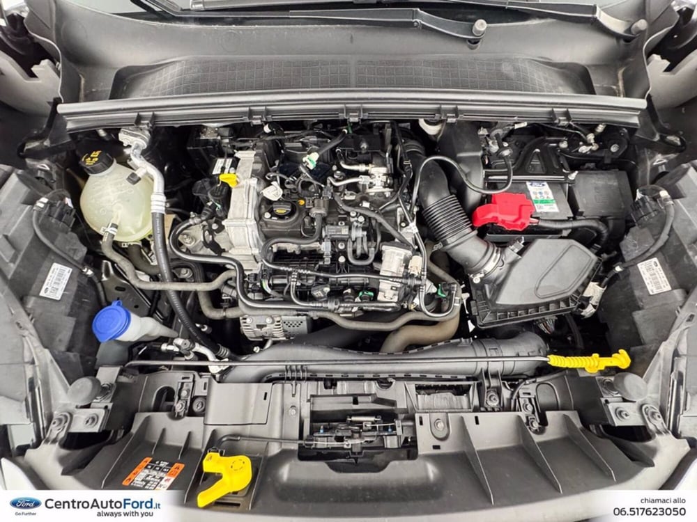 Ford Puma usata a Roma (12)