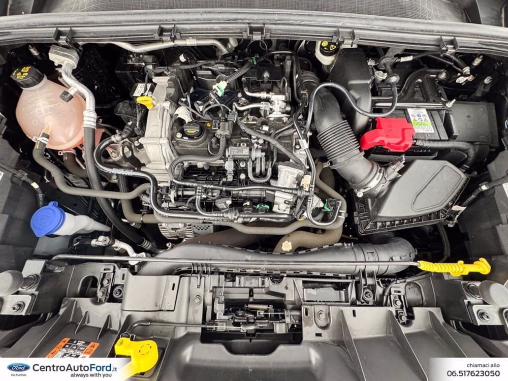 Ford Puma usata a Roma (12)
