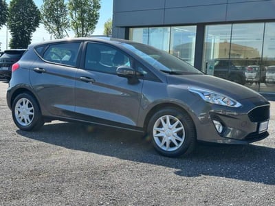Ford Fiesta 1.5 EcoBlue 5 porte Plus del 2019 usata a Massarosa