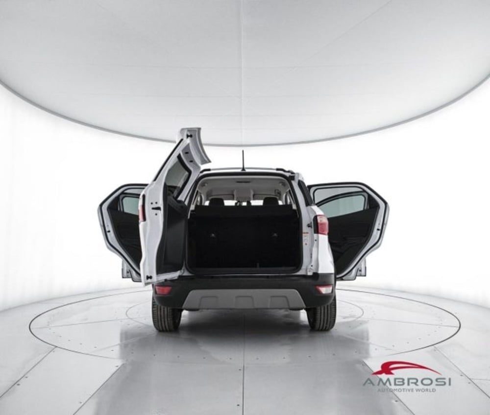 Ford EcoSport usata a Perugia (7)