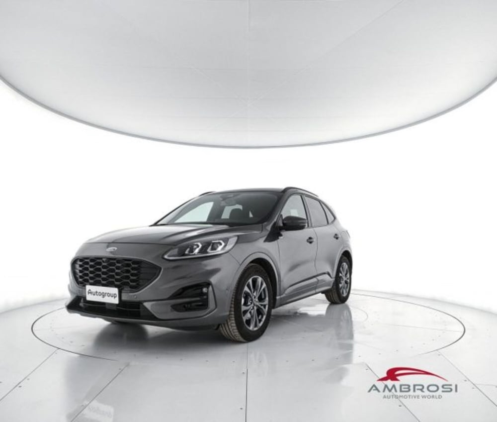Ford Kuga usata a Perugia