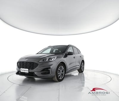 Ford Kuga 2.0 EcoBlue 120 CV aut. 2WD ST-L. X Design del 2023 usata a Corciano