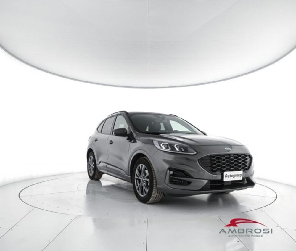 Ford Kuga usata a Perugia (2)