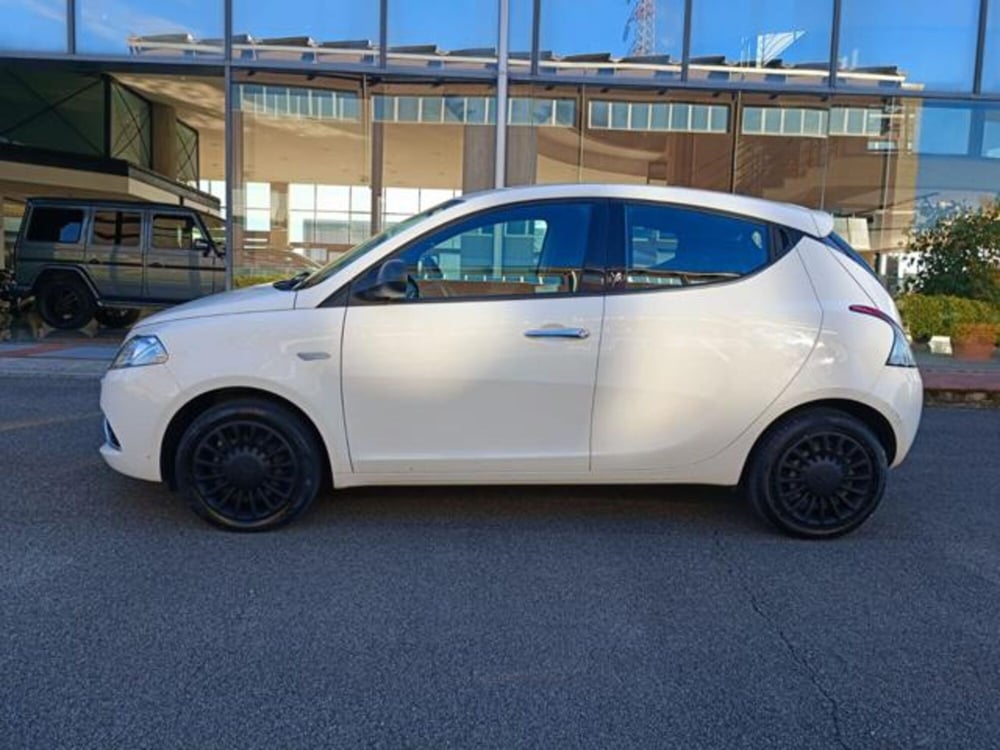Lancia Ypsilon usata a Pisa (10)