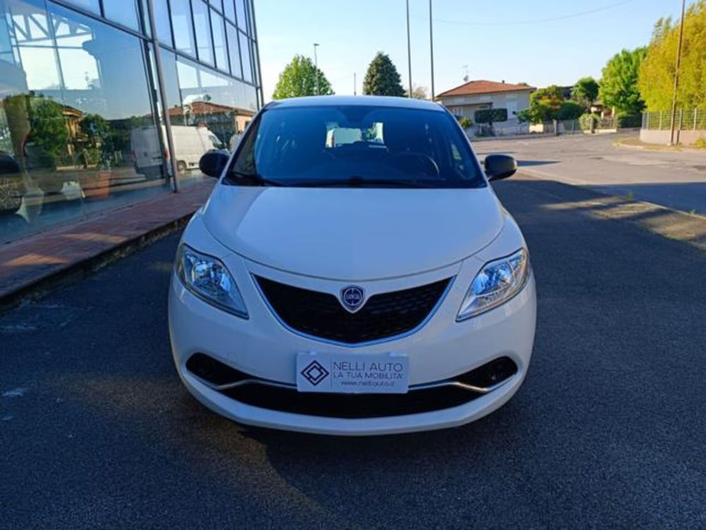 Lancia Ypsilon usata a Pisa (8)