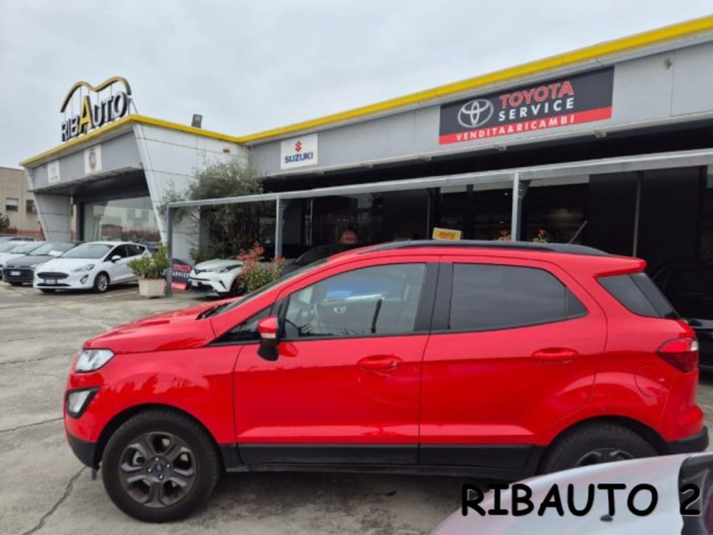 Ford EcoSport usata a Cuneo (13)