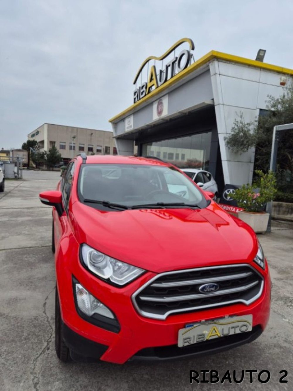 Ford EcoSport usata a Cuneo (15)