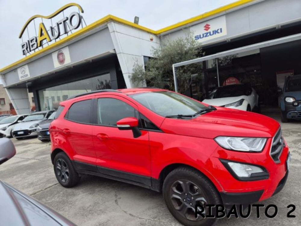 Ford EcoSport usata a Cuneo (16)