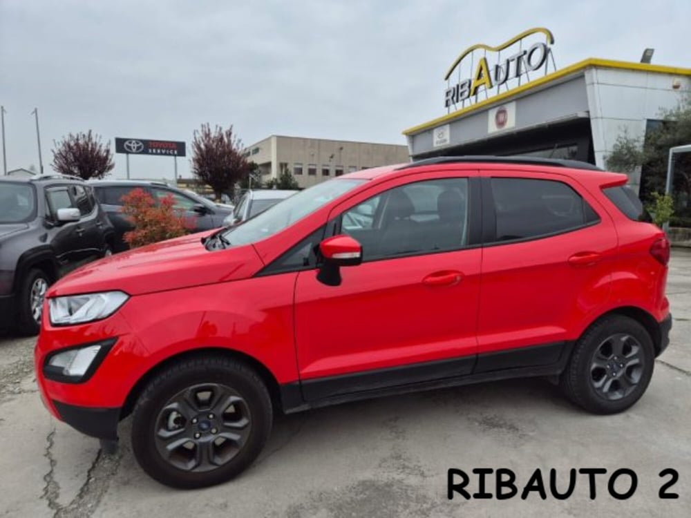 Ford EcoSport usata a Cuneo (9)