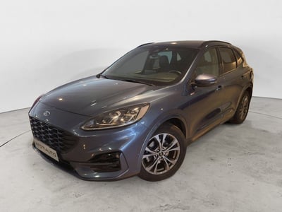 Ford Kuga 2.0 EcoBlue 120 CV aut. 2WD ST-Line X del 2023 usata a Messina
