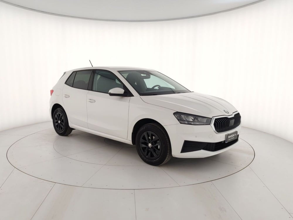 Skoda Fabia usata a Massa-Carrara (4)