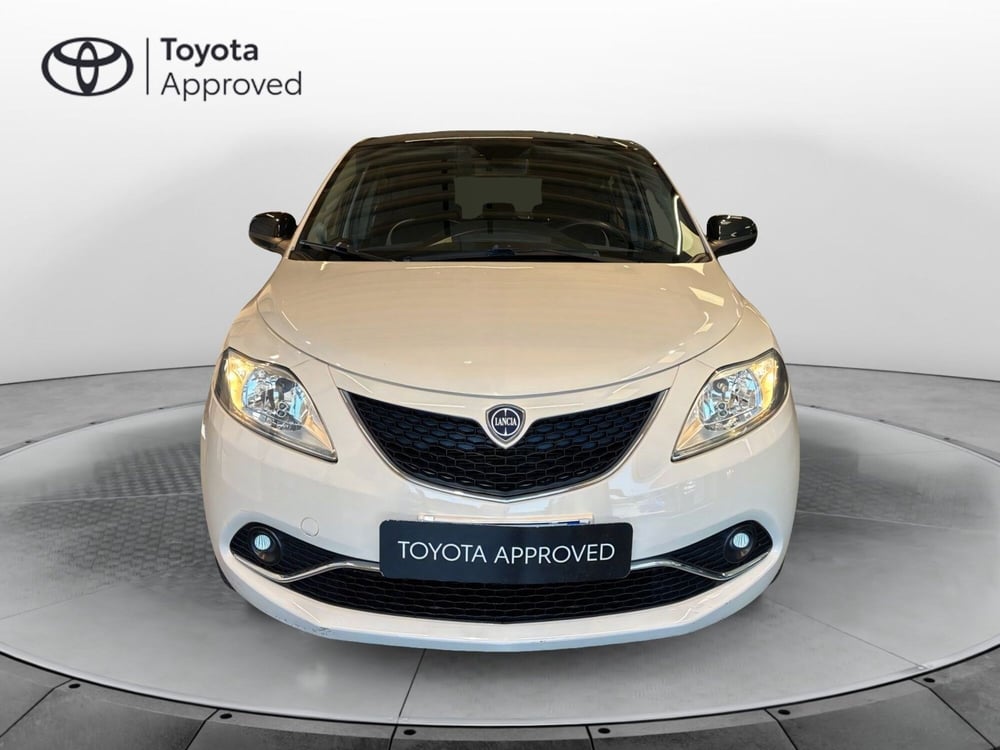 Lancia Ypsilon usata a Catanzaro (5)