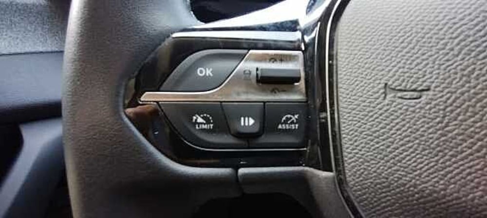 Peugeot 308 SW usata a Viterbo (11)