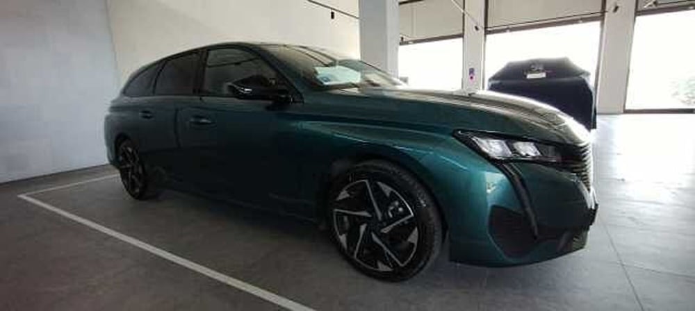 Peugeot 308 SW usata a Viterbo (2)