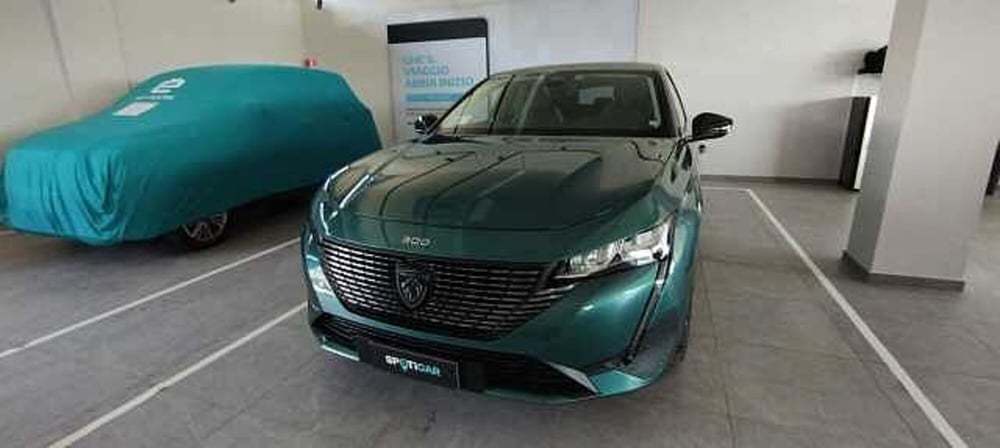 Peugeot 308 SW usata a Viterbo (3)