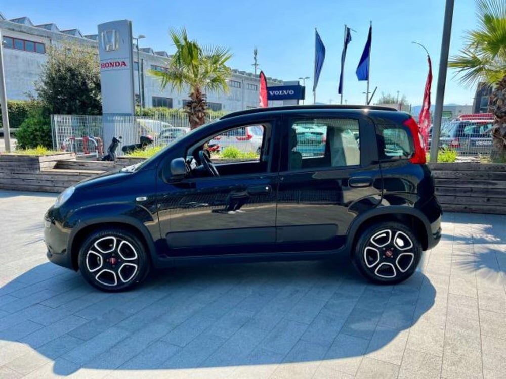 Fiat Panda usata a Savona (3)
