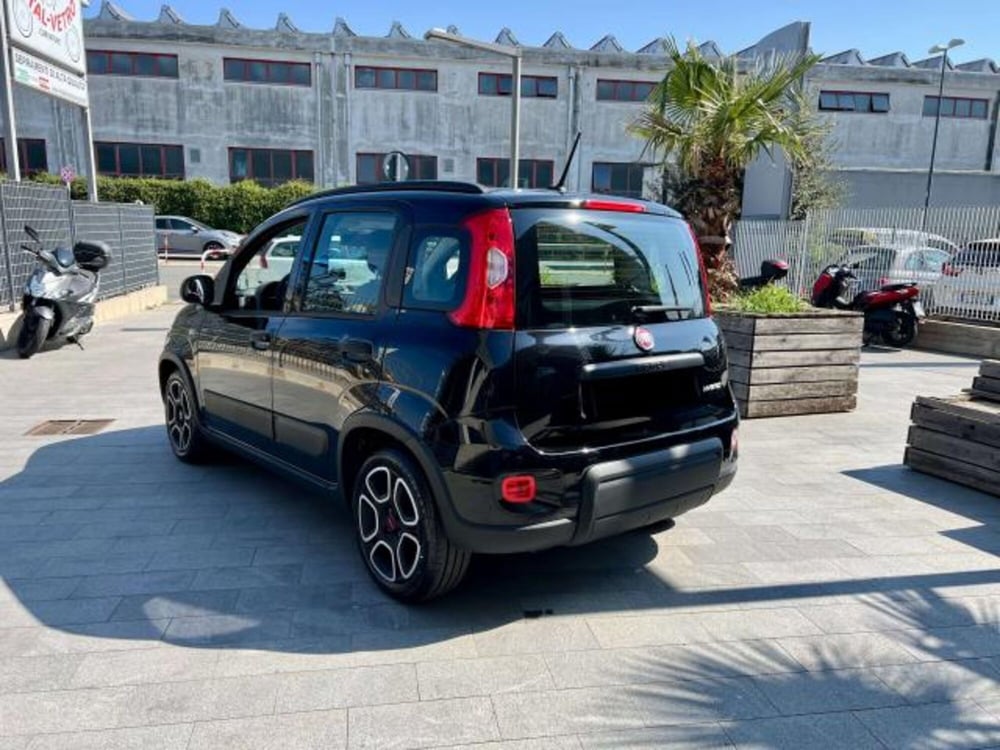 Fiat Panda usata a Savona (4)