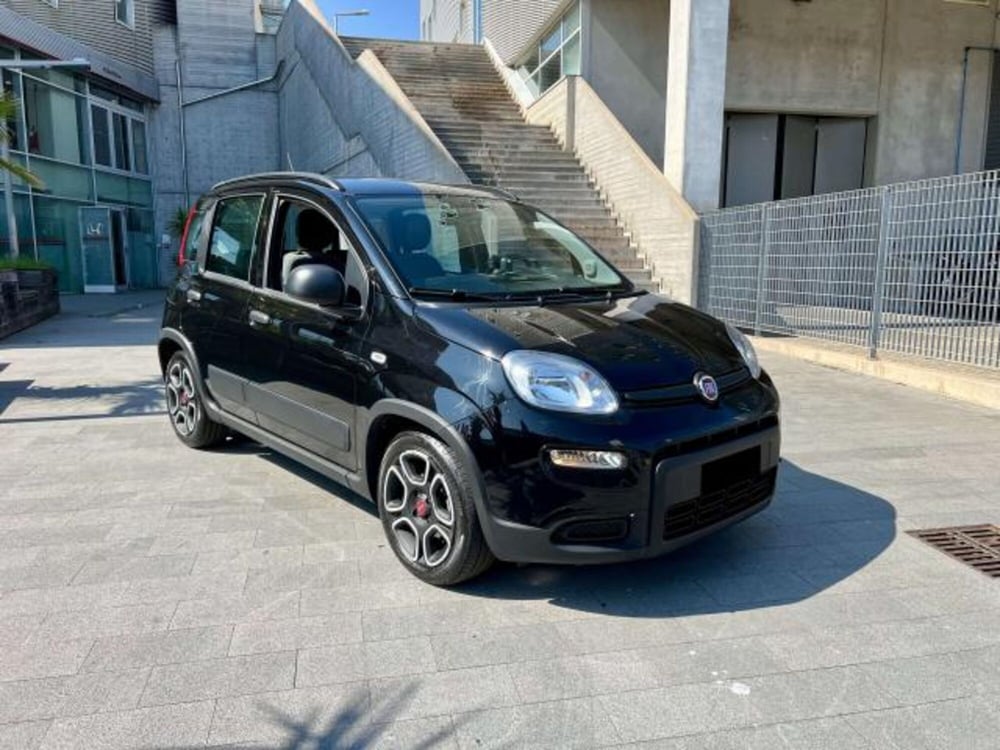 Fiat Panda usata a Savona (8)
