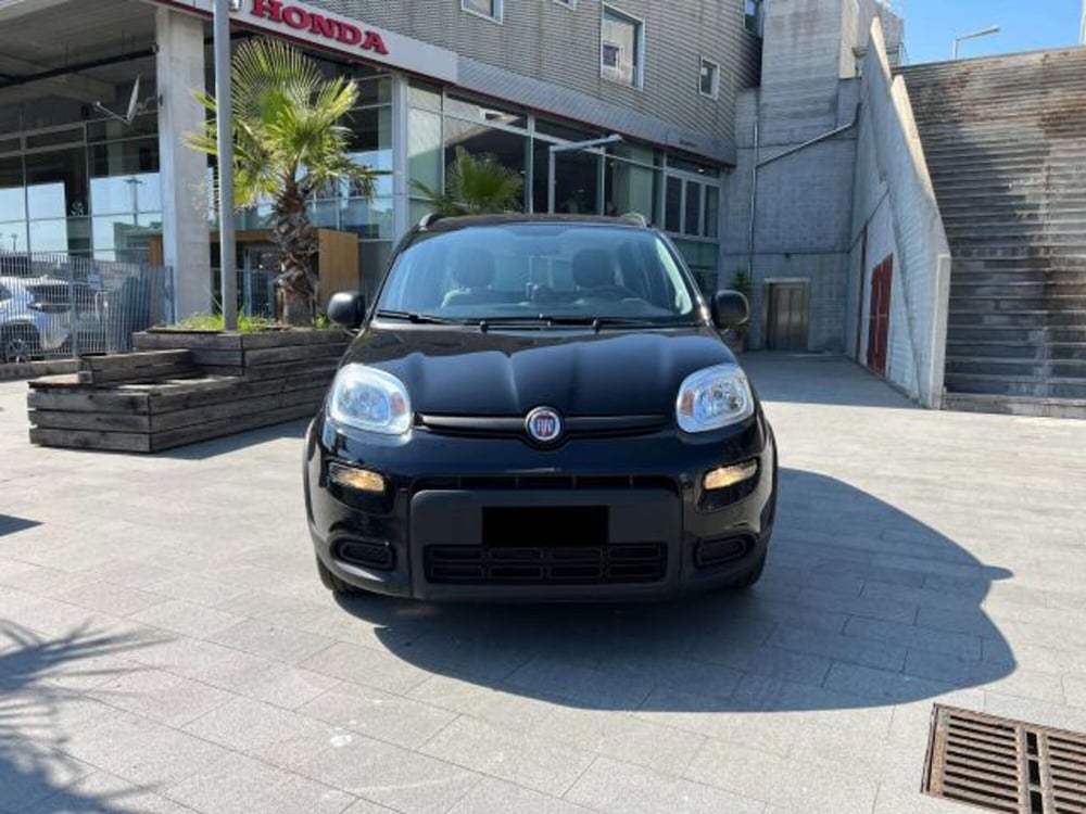 Fiat Panda usata a Savona (9)