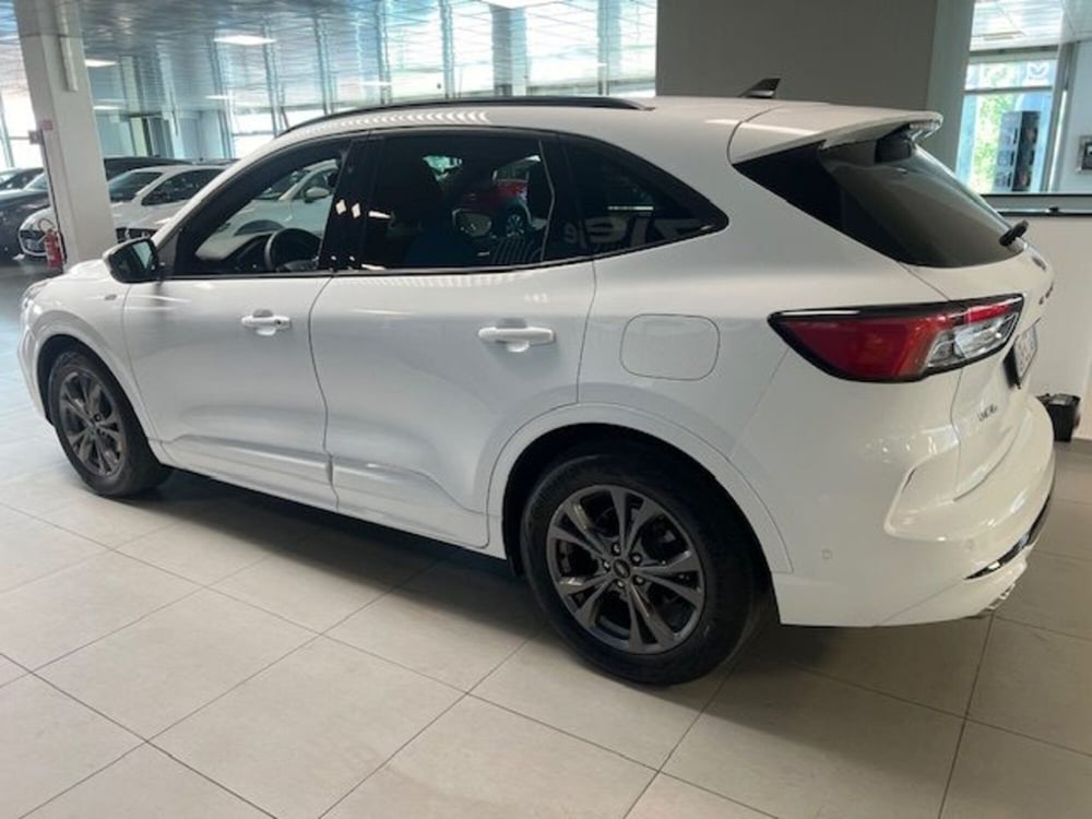 Ford Kuga usata a Cuneo (6)