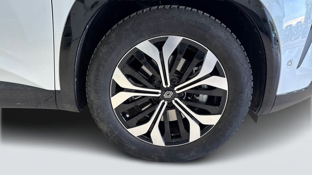 Renault Austral usata a Viterbo (19)