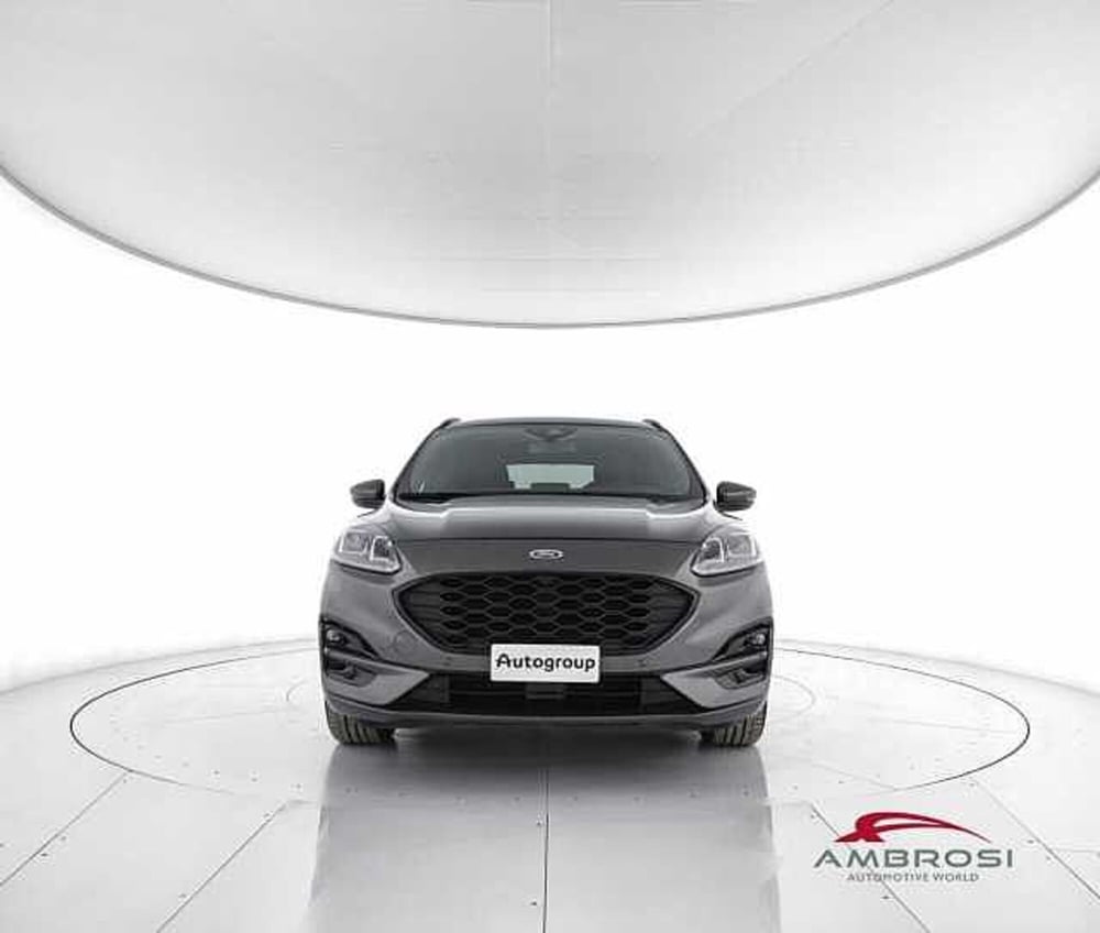 Ford Kuga usata a Viterbo (5)