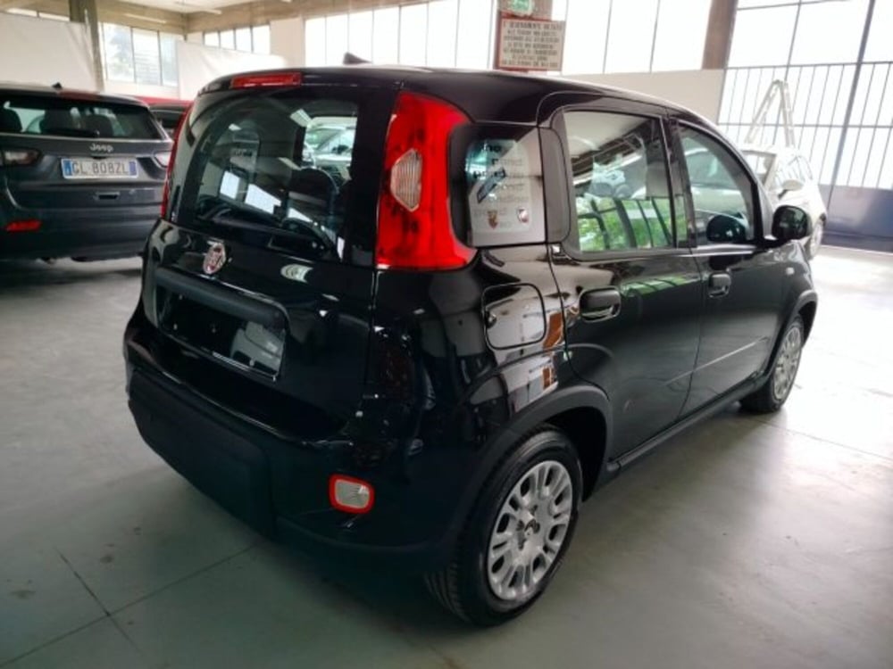 Fiat Panda usata a Forlì-Cesena (9)