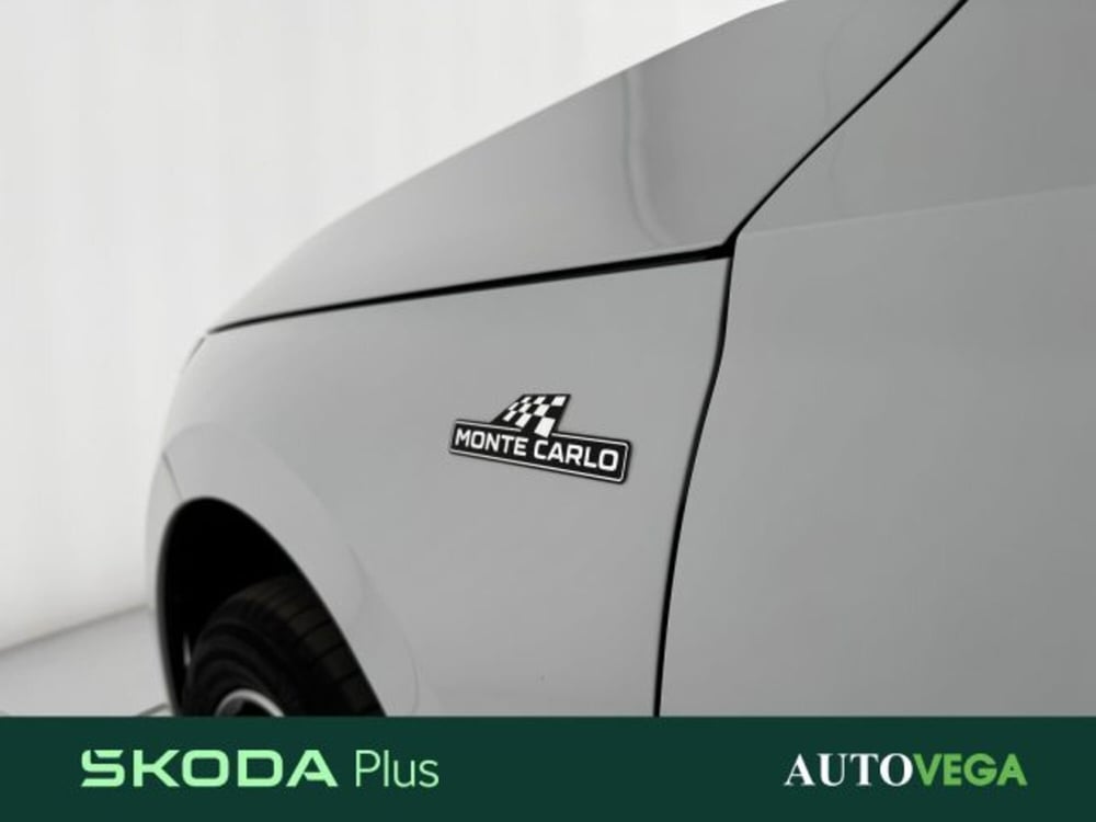 Skoda Kamiq usata a Vicenza (7)