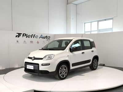 Fiat Panda 1.0 FireFly S&amp;S Hybrid Garmin del 2025 usata a Teramo