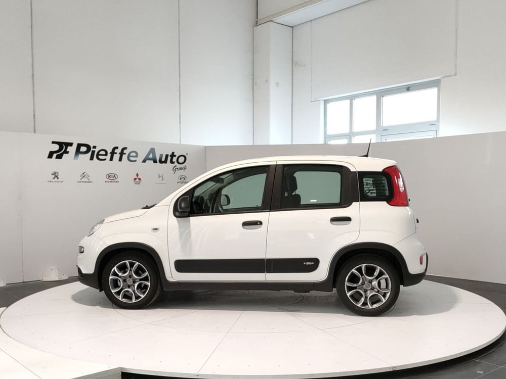 Fiat Panda usata a Teramo (2)