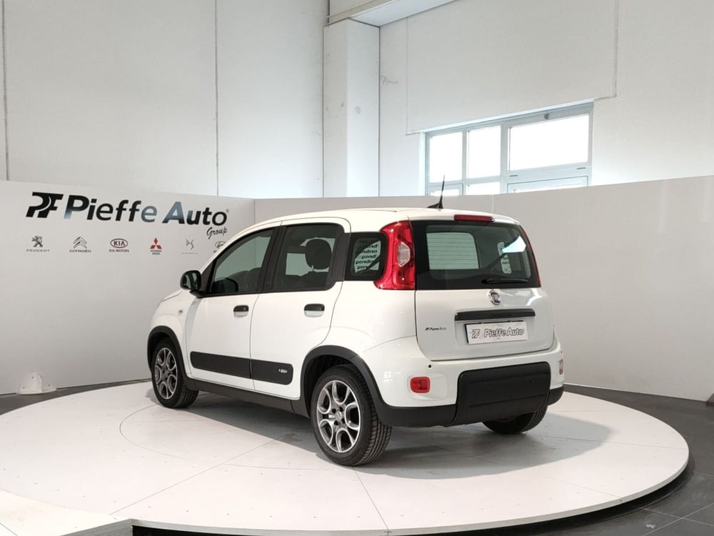 Fiat Panda usata a Teramo (3)
