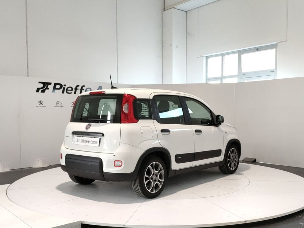 Fiat Panda usata a Teramo (4)