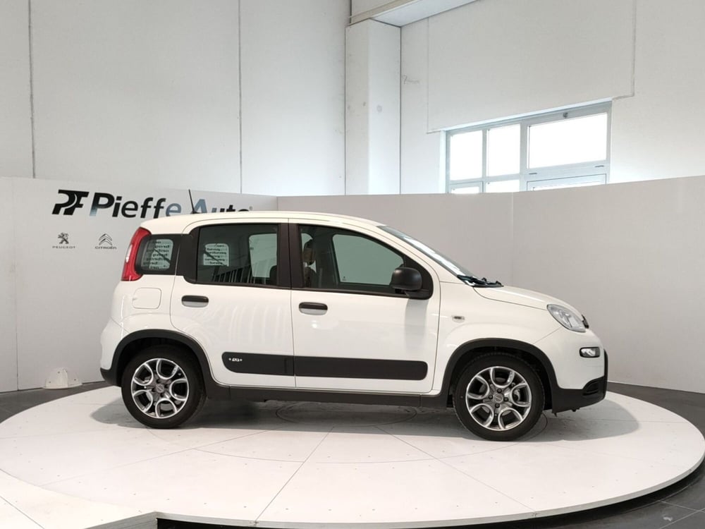 Fiat Panda usata a Teramo (5)