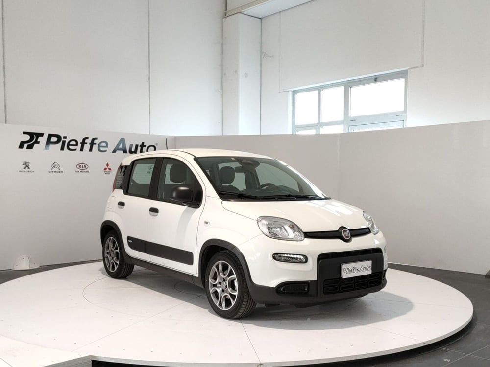 Fiat Panda usata a Teramo (6)
