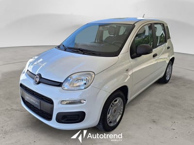 Fiat Panda 1.2 Easy del 2019 usata a Bari