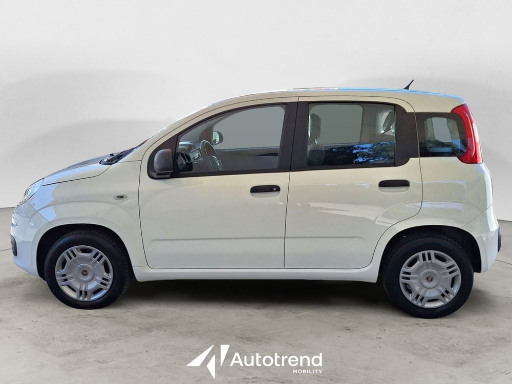 Fiat Panda usata a Bari (5)