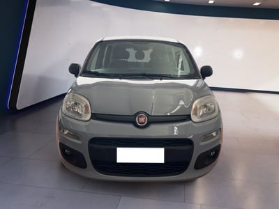 Fiat Panda 1.0 firefly hybrid s&amp;s 70cv 5p.ti del 2022 usata a Torino