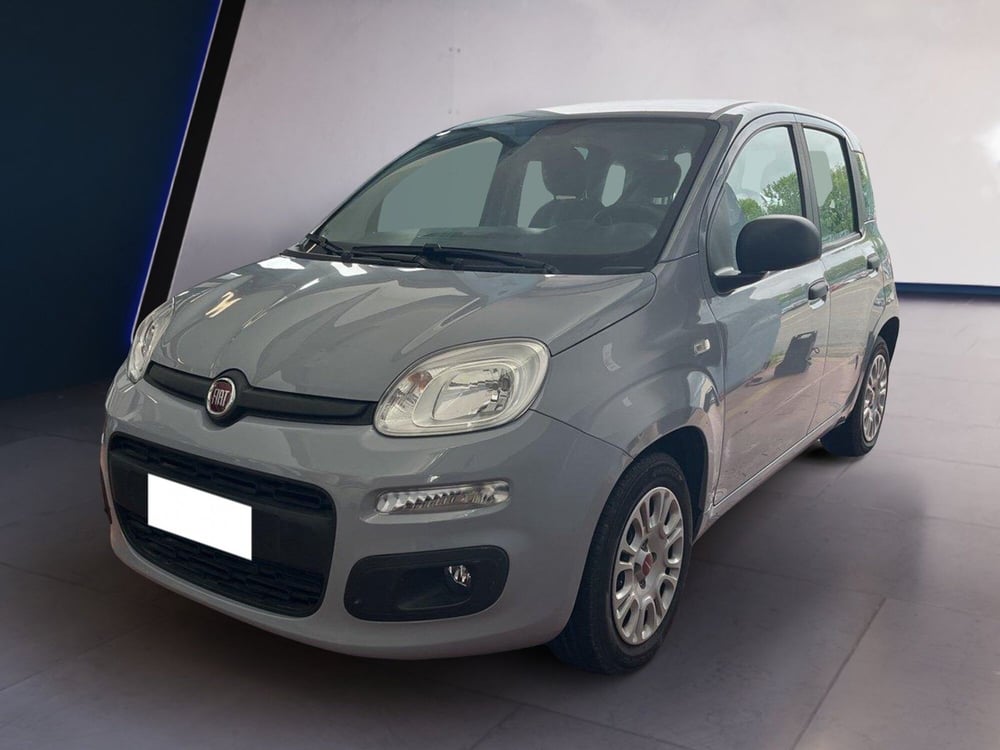 Fiat Panda usata a Torino (2)