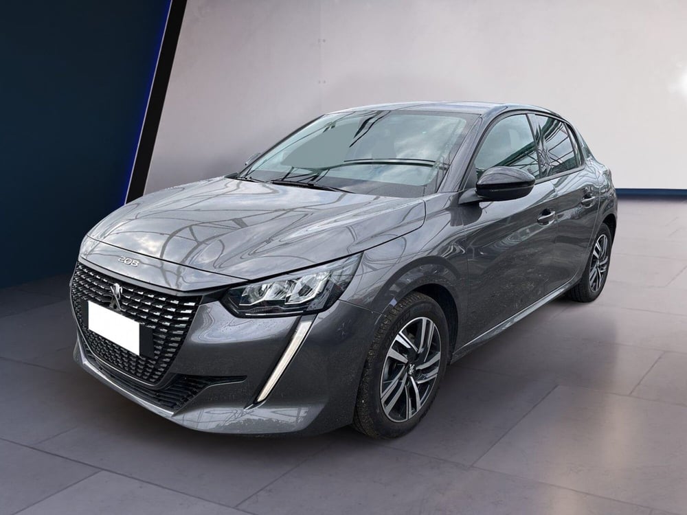 Peugeot 208 usata a Torino (2)