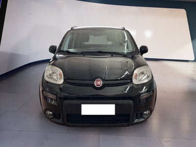 Fiat Panda 1.2 EasyPower del 2023 usata a Torino