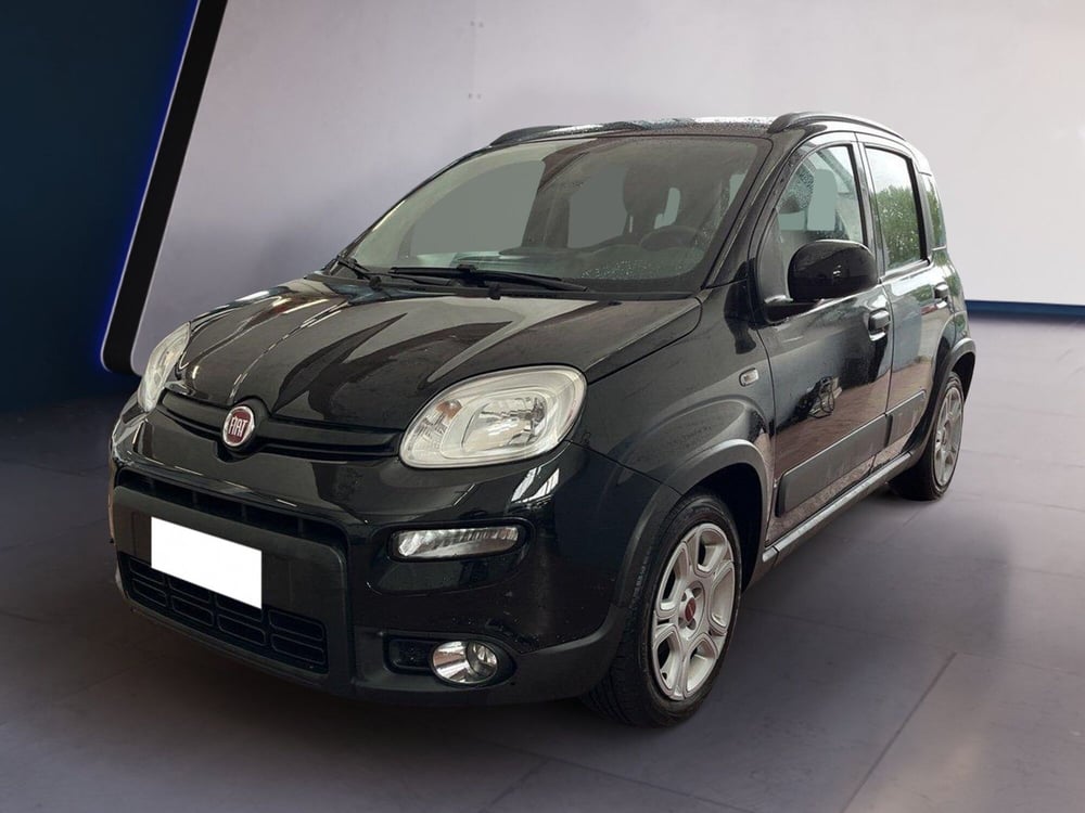 Fiat Panda usata a Torino (2)