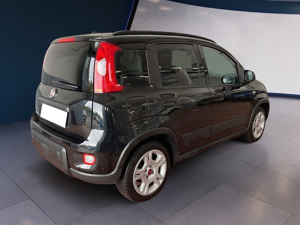 Fiat Panda usata a Torino (4)