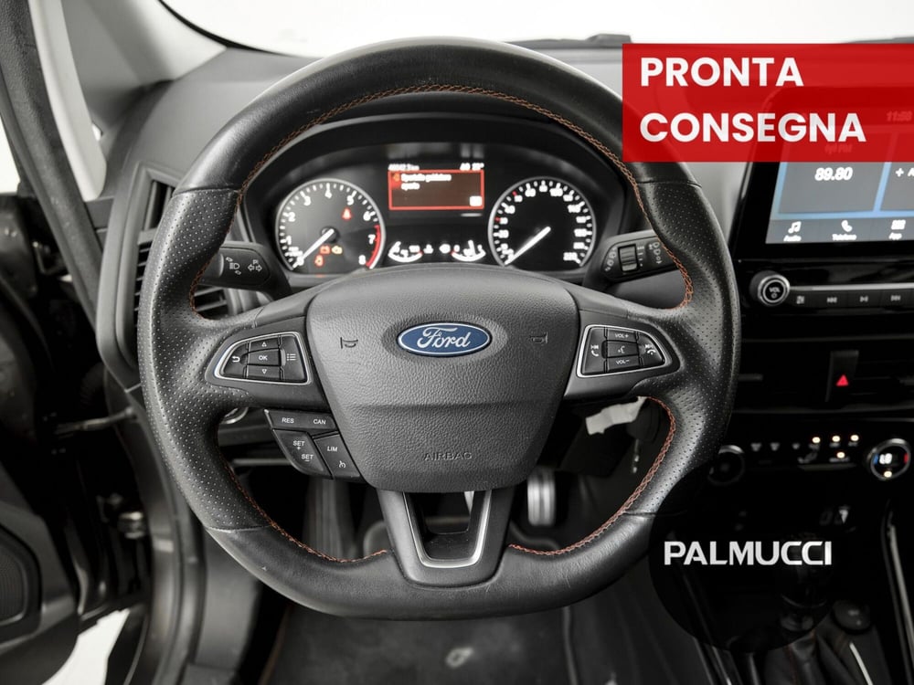 Ford EcoSport usata a Prato (13)