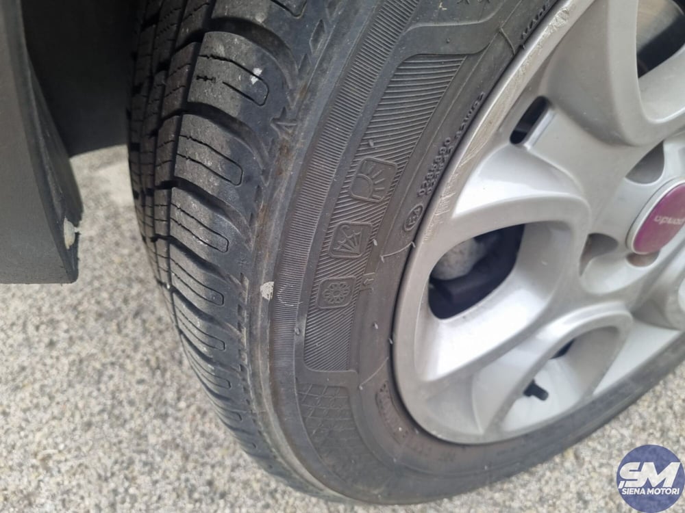 Fiat Panda usata a Firenze (19)