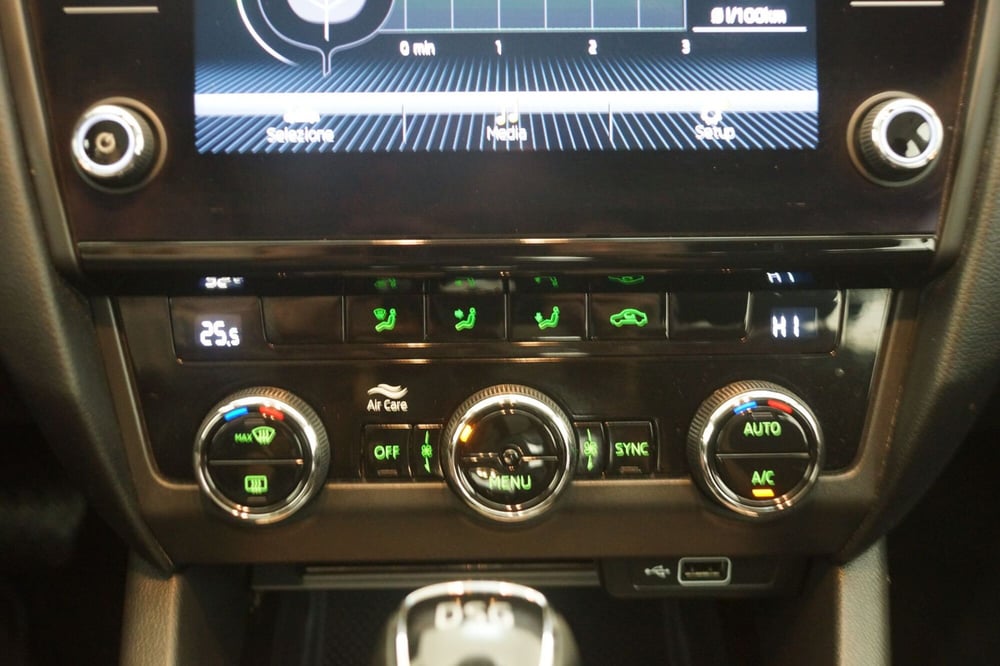 Skoda Octavia Station Wagon usata a Torino (19)