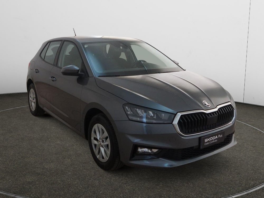 Skoda Fabia usata a Torino