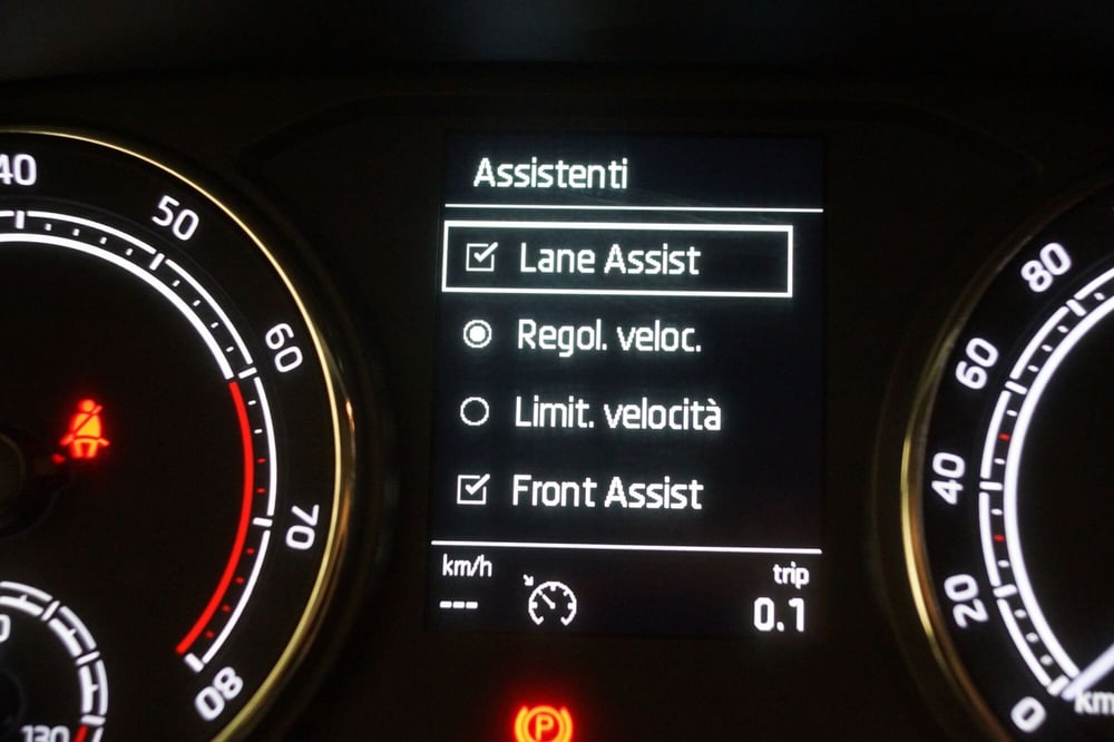 Skoda Fabia usata a Torino (15)