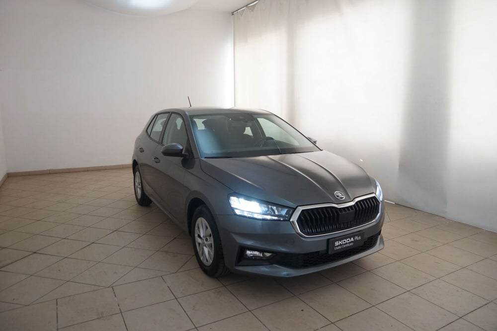 Skoda Fabia usata a Torino (20)