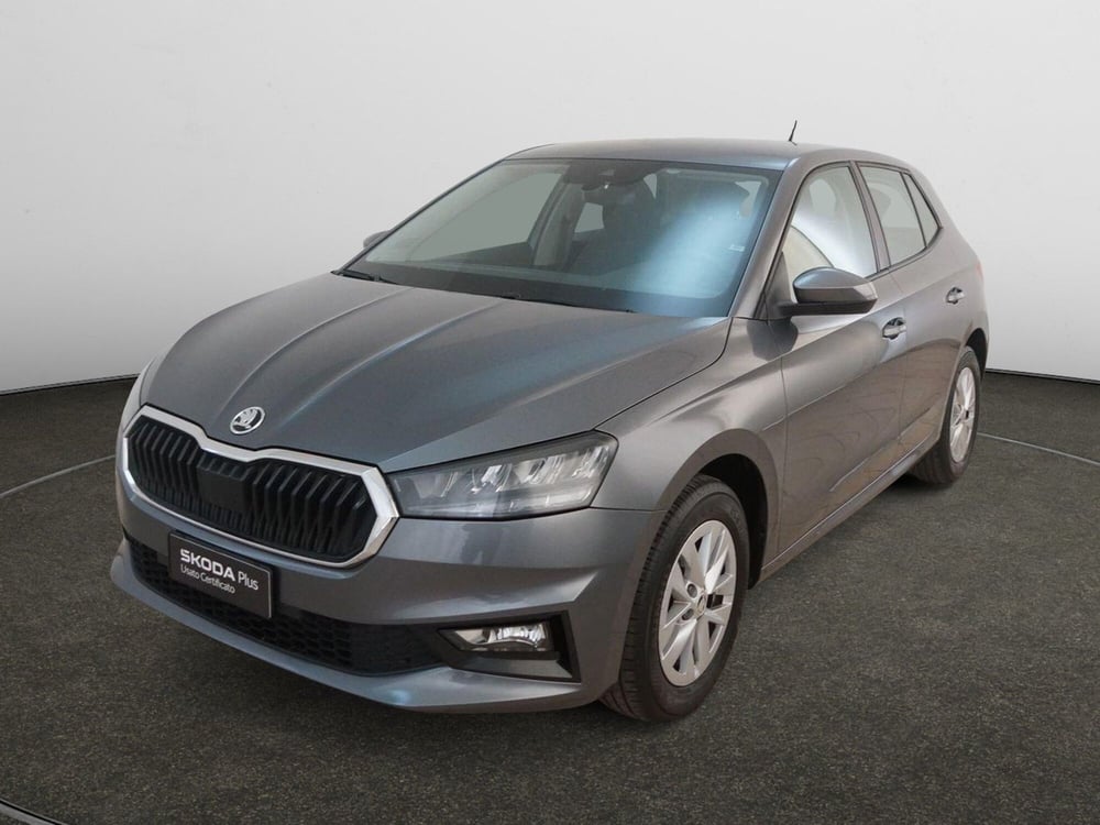 Skoda Fabia usata a Torino (3)
