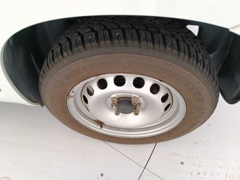 Fiat Panda usata a Treviso (17)